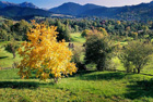 Romania Travel Photos