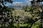 Romania Travel Photos