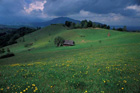 Romania Travel Photos
