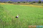 Romania Travel Photos