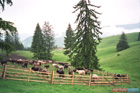 Romania Travel Photos