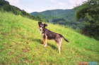 Romania Travel Photos