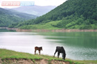 Romania Travel Photos