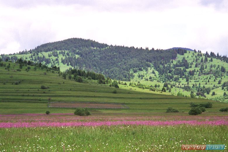 Romania Travel Photos