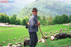 Romania Travel Photos