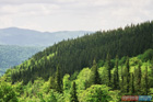 Romania Travel Photos