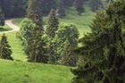 Romania Travel Photos