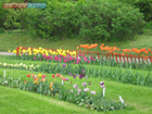 Romania Travel Photos